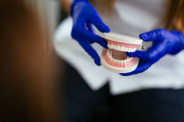 Best Dental Exams and Cleanings  in Bradford Woods, PA